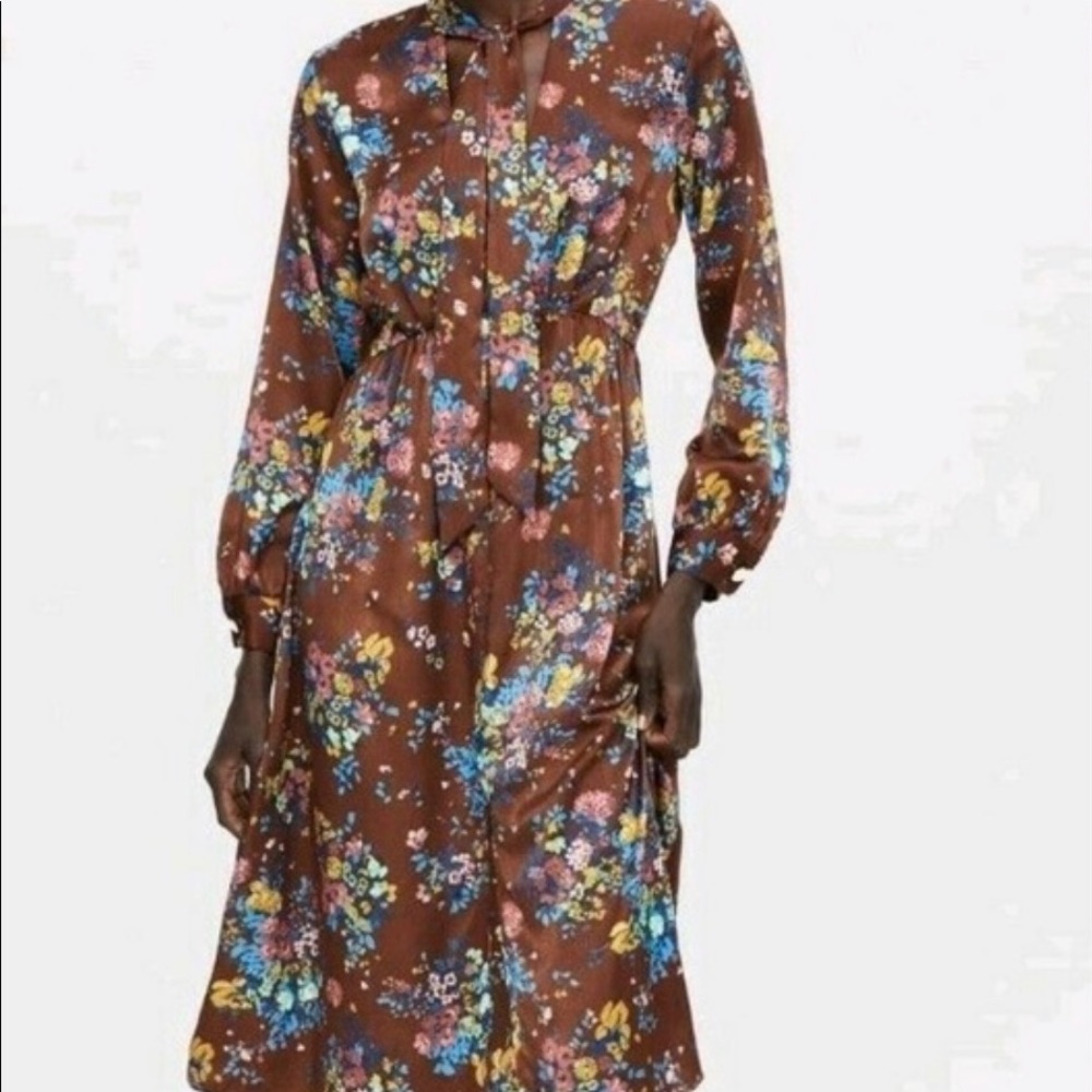 Zara Midi Brown Silky Dress